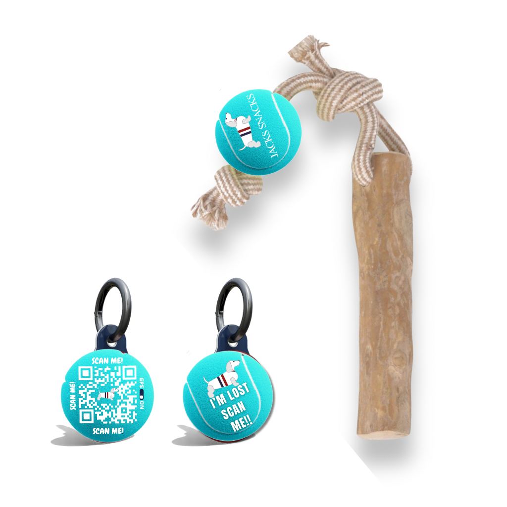 Tug Stick with Tennis Ball Toy-Light Blue