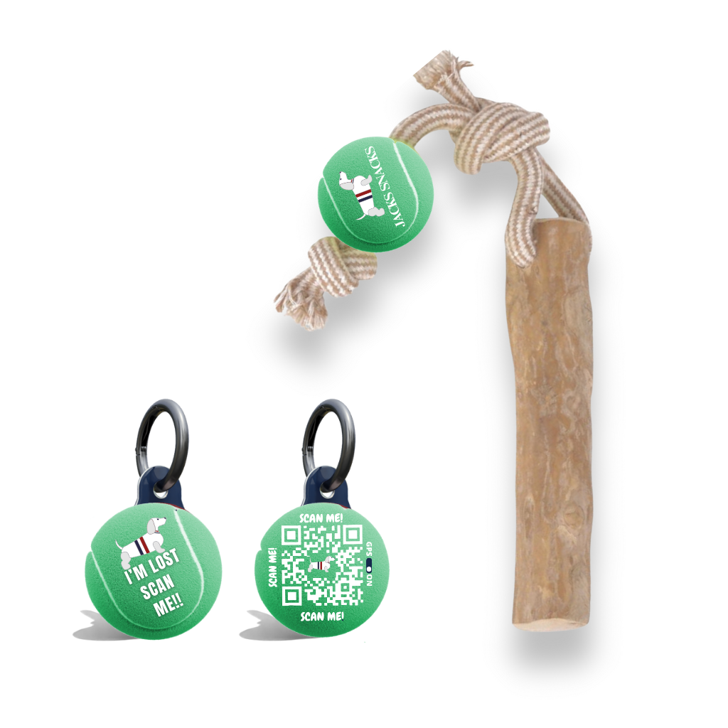 Tug Stick with Tennis Ball Toy-Green