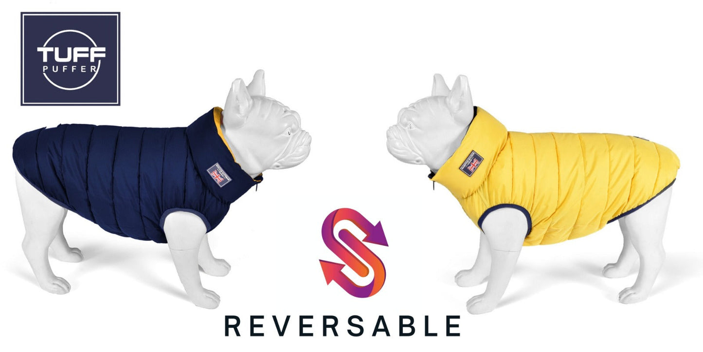 Yellow and Navy Reversible Puffer Jacket