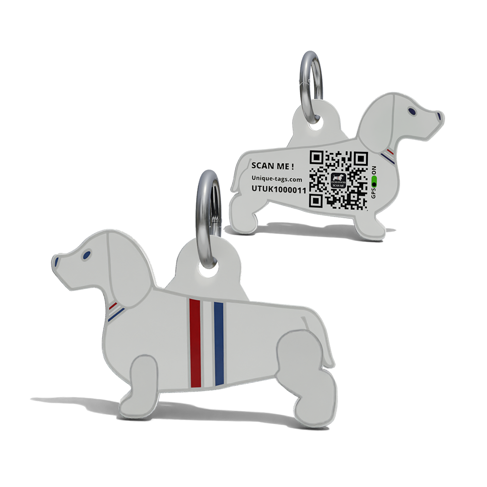 Premium Dash Hound Shaped Jacks Snacks QR Tag