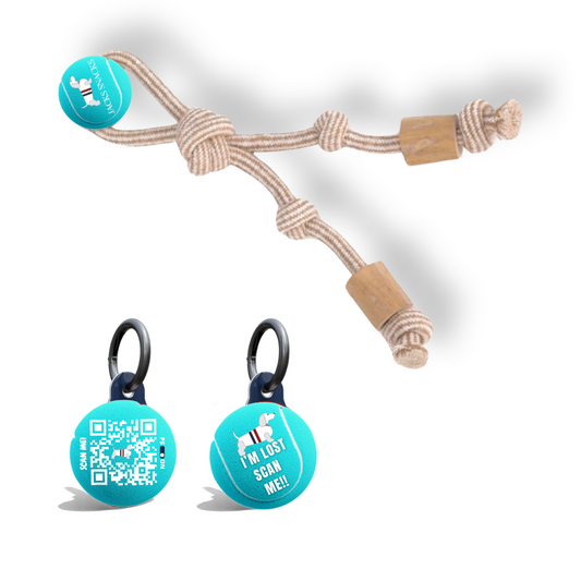 Twin Tug with Tennis Ball Toy-Light Blue