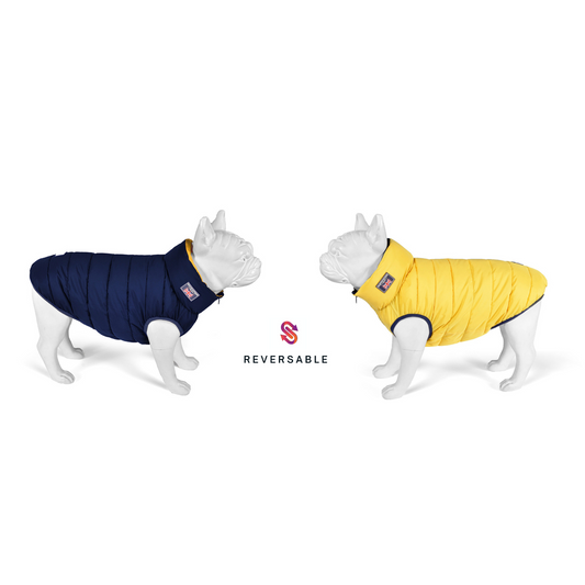Yellow and Navy Reversible Puffer Jacket