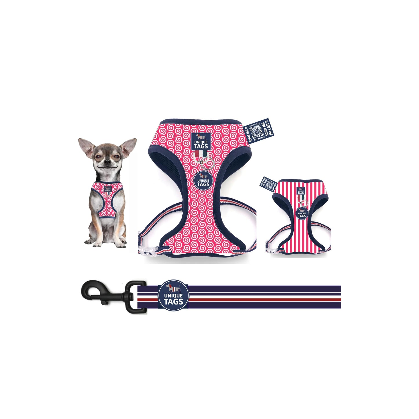 Reversible Harness Set 21