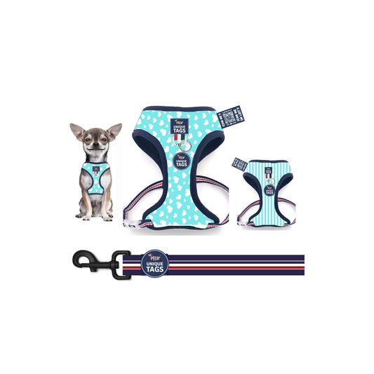 Reversible Harness Set 22