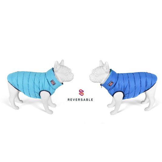 Blue and Light Blue Reversible Puffer Jacket